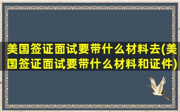 美国签证面试要带什么材料去(美国签证面试要带什么材料和证件)