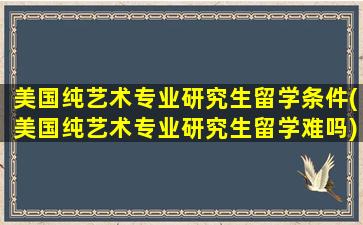 美国纯艺术专业研究生留学条件(美国纯艺术专业研究生留学难吗)