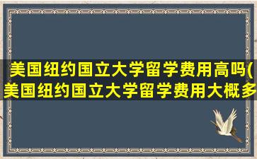 美国纽约国立大学留学费用高吗(美国纽约国立大学留学费用大概多少)