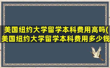 美国纽约大学留学本科费用高吗(美国纽约大学留学本科费用多少钱)