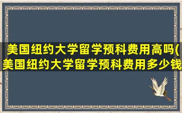 美国纽约大学留学预科费用高吗(美国纽约大学留学预科费用多少钱)