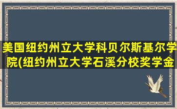 美国纽约州立大学科贝尔斯基尔学院(纽约州立大学石溪分校奖学金)