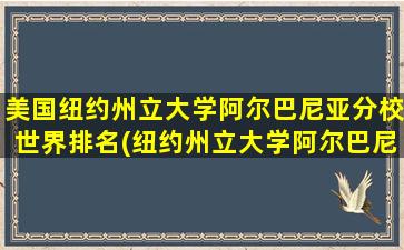 美国纽约州立大学阿尔巴尼亚分校世界排名(纽约州立大学阿尔巴尼分校相当于国内哪所院校)