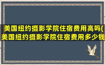 美国纽约摄影学院住宿费用高吗(美国纽约摄影学院住宿费用多少钱)