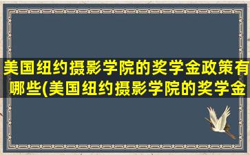 美国纽约摄影学院的奖学金政策有哪些(美国纽约摄影学院的奖学金政策怎么样)