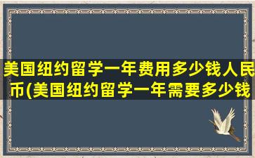 美国纽约留学一年费用多少钱人民币(美国纽约留学一年需要多少钱)