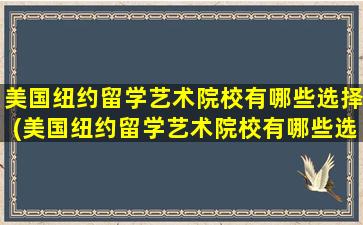 美国纽约留学艺术院校有哪些选择(美国纽约留学艺术院校有哪些选择要求)