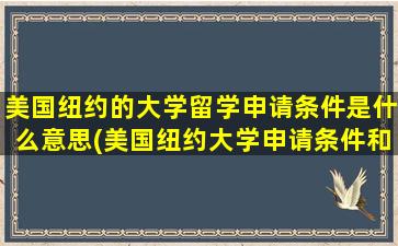 美国纽约的大学留学申请条件是什么意思(美国纽约大学申请条件和学费)