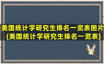 美国统计学研究生排名一览表图片(美国统计学研究生排名一览表)