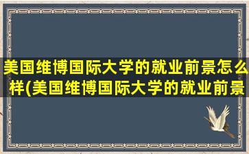 美国维博国际大学的就业前景怎么样(美国维博国际大学的就业前景分析)