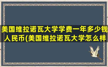 美国维拉诺瓦大学学费一年多少钱人民币(美国维拉诺瓦大学怎么样)