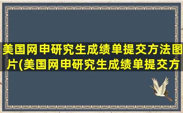 美国网申研究生成绩单提交方法图片(美国网申研究生成绩单提交方法有哪些)