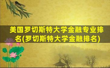 美国罗切斯特大学金融专业排名(罗切斯特大学金融排名)