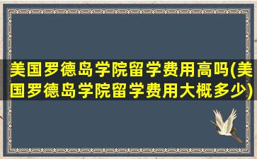 美国罗德岛学院留学费用高吗(美国罗德岛学院留学费用大概多少)