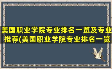 美国职业学院专业排名一览及专业推荐(美国职业学院专业排名一览及专业推荐知乎)