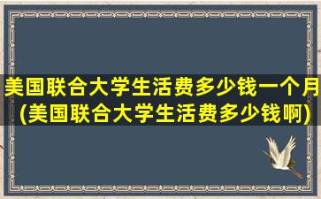 美国联合大学生活费多少钱一个月(美国联合大学生活费多少钱啊)