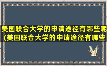 美国联合大学的申请途径有哪些呢(美国联合大学的申请途径有哪些要求)