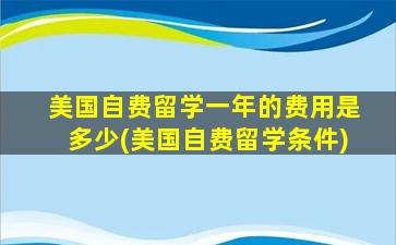 美国自费留学一年的费用是多少(美国自费留学条件)