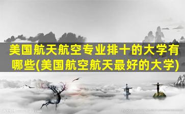 美国航天航空专业排十的大学有哪些(美国航空航天最好的大学)