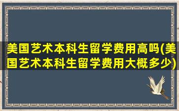 美国艺术本科生留学费用高吗(美国艺术本科生留学费用大概多少)