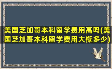 美国芝加哥本科留学费用高吗(美国芝加哥本科留学费用大概多少)