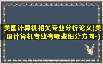 美国计算机相关专业分析论文(美国计算机专业有哪些细分方向-)