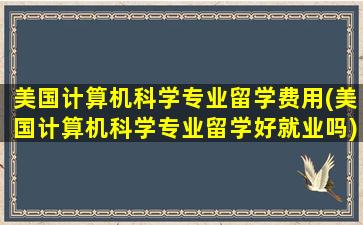 美国计算机科学专业留学费用(美国计算机科学专业留学好就业吗)