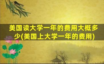 美国读大学一年的费用大概多少(美国上大学一年的费用)