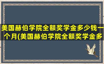 美国赫伯学院全额奖学金多少钱一个月(美国赫伯学院全额奖学金多少钱啊)