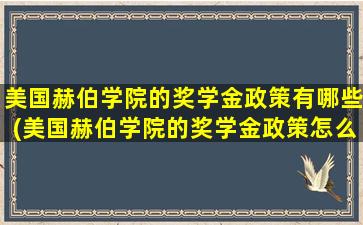 美国赫伯学院的奖学金政策有哪些(美国赫伯学院的奖学金政策怎么样)