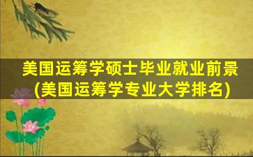 美国运筹学硕士毕业就业前景(美国运筹学专业大学排名)