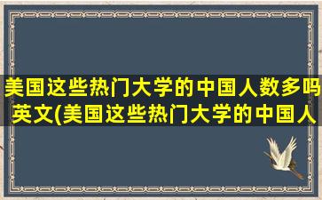 美国这些热门大学的中国人数多吗英文(美国这些热门大学的中国人数多吗)