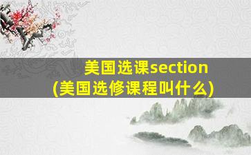 美国选课section(美国选修课程叫什么)