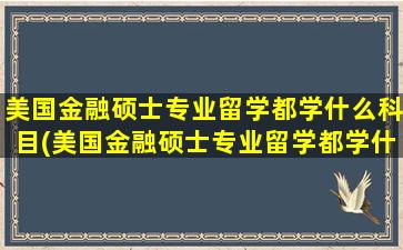 美国金融硕士专业留学都学什么科目(美国金融硕士专业留学都学什么专业)