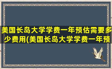 美国长岛大学学费一年预估需要多少费用(美国长岛大学学费一年预估需要多少)