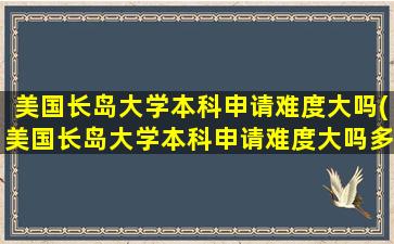 美国长岛大学本科申请难度大吗(美国长岛大学本科申请难度大吗多少分)