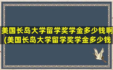 美国长岛大学留学奖学金多少钱啊(美国长岛大学留学奖学金多少钱一个月)