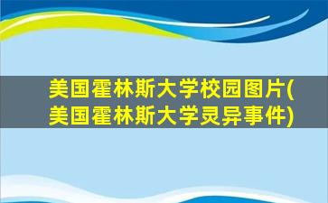 美国霍林斯大学校园图片(美国霍林斯大学灵异事件)