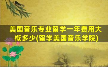 美国音乐专业留学一年费用大概多少(留学美国音乐学院)