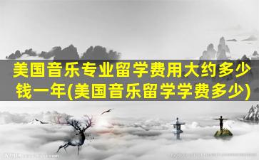 美国音乐专业留学费用大约多少钱一年(美国音乐留学学费多少)