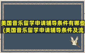 美国音乐留学申请辅导条件有哪些(美国音乐留学申请辅导条件及流程)