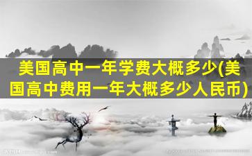 美国高中一年学费大概多少(美国高中费用一年大概多少人民币)