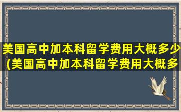 美国高中加本科留学费用大概多少(美国高中加本科留学费用大概多少)