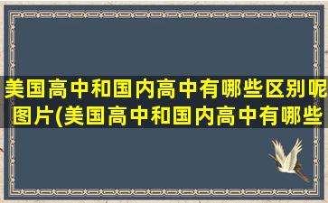 美国高中和国内高中有哪些区别呢图片(美国高中和国内高中有哪些区别呢英语)