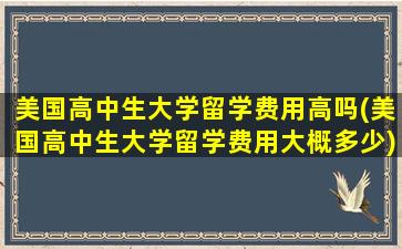 美国高中生大学留学费用高吗(美国高中生大学留学费用大概多少)