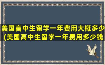 美国高中生留学一年费用大概多少(美国高中生留学一年费用多少钱)