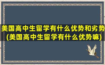 美国高中生留学有什么优势和劣势(美国高中生留学有什么优势嘛)