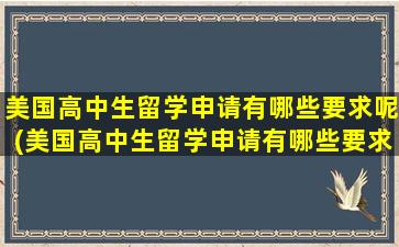 美国高中生留学申请有哪些要求呢(美国高中生留学申请有哪些要求条件)