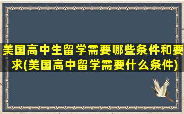 美国高中生留学需要哪些条件和要求(美国高中留学需要什么条件)