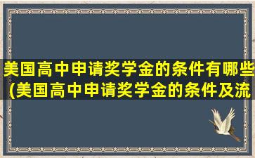 美国高中申请奖学金的条件有哪些(美国高中申请奖学金的条件及流程)